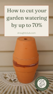 How to cut your garden watering by up to 70%